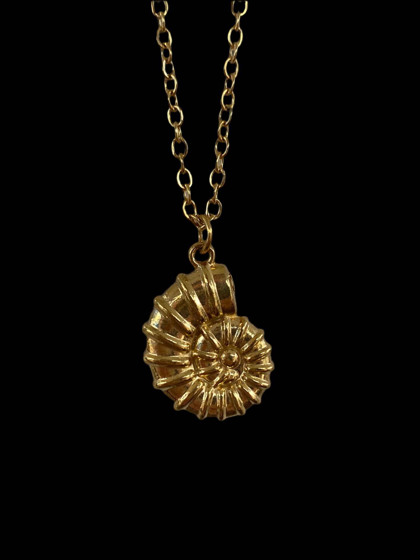 Ammonite Necklace